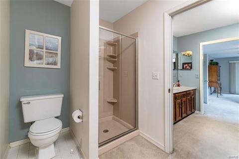649 Huntley Hts, Ballwin, MO 63021 photo 18