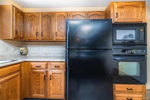 649 Huntley Hts, Ballwin, MO 63021 photo 12