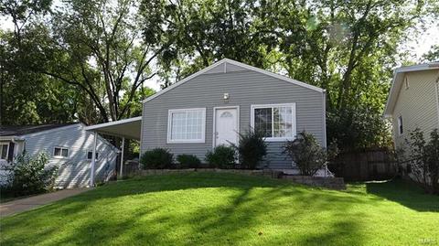 232 Lakeside Dr, Ballwin, MO 63021 photo 1