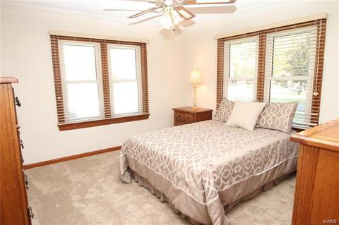 224 Ries Rd, Ballwin, MO 63021 photo 13