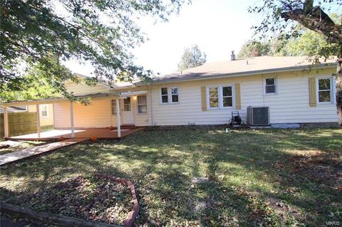 224 Ries Rd, Ballwin, MO 63021 photo 20
