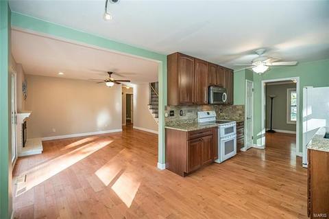 910 Del Ebro Dr, Ballwin, MO 63011 photo 11