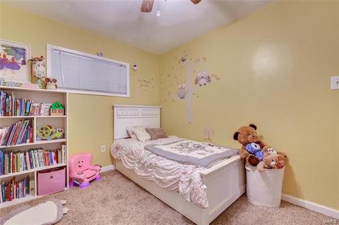 3710 Risch Ave, Saint Louis, MO 63125 photo 25