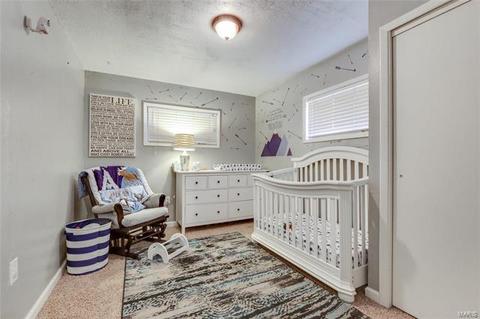 3710 Risch Ave, Saint Louis, MO 63125 photo 26