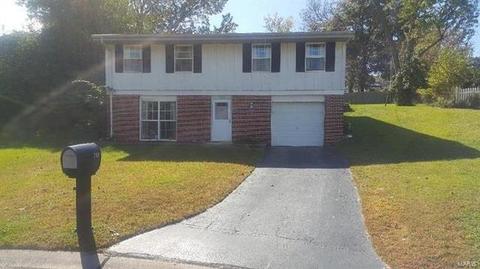 701 Chantilly, Ballwin, MO 63011 photo 14
