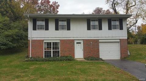 701 Chantilly, Ballwin, MO 63011 photo 1