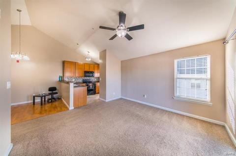 13303 Spring Crk, O'fallon, MO 63368 photo 5