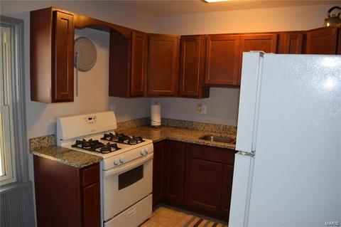 7136 Sharp Ave, Saint Louis, MO 63116 photo 5