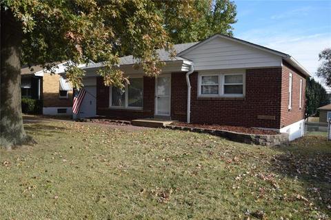 7136 Sharp Ave, Saint Louis, MO 63116 photo 2
