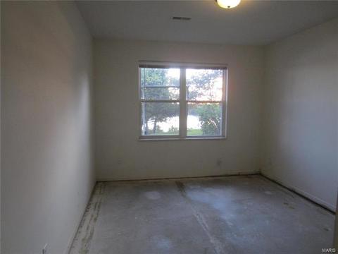 54 Quarry Riverfront Dr, Golden Eagle, IL 62037 photo 22