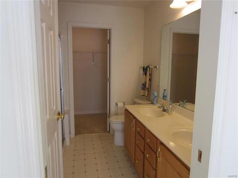 54 Quarry Riverfront Dr, Golden Eagle, IL 62037 photo 13