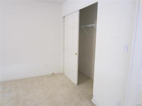 54 Quarry Riverfront Dr, Golden Eagle, IL 62037 photo 16