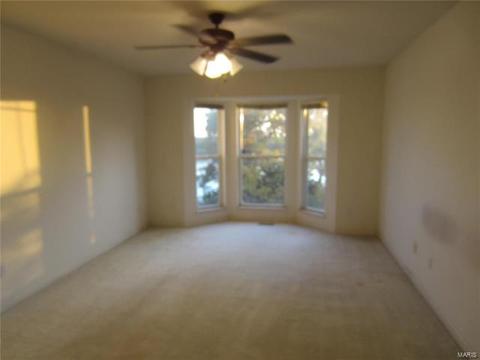 54 Quarry Riverfront Dr, Golden Eagle, IL 62037 photo 11