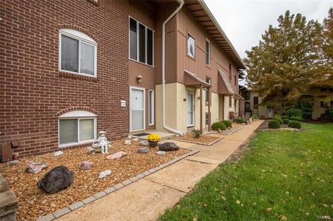 190 Carmel Woods Dr, Ellisville, MO 63021 photo 19