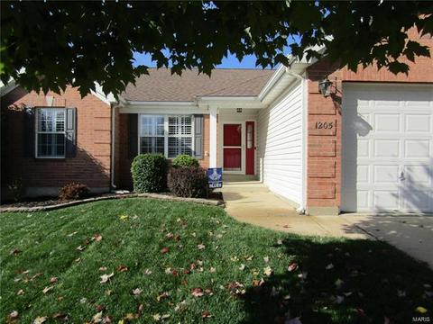 1205 Arbor Trails Ct, Ballwin, MO 63021 photo 3