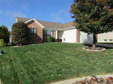 1205 Arbor Trails Ct, Ballwin, MO 63021 photo 7