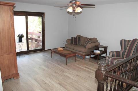 991 Silversprings Ln, Manchester, MO 63021 photo 3