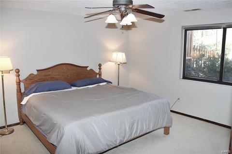 991 Silversprings Ln, Manchester, MO 63021 photo 14