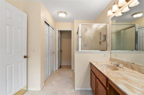 17356 Radcliffe Place Dr, Wildwood, MO 63025 photo 17