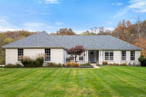 17356 Radcliffe Place Dr, Wildwood, MO 63025 photo 34