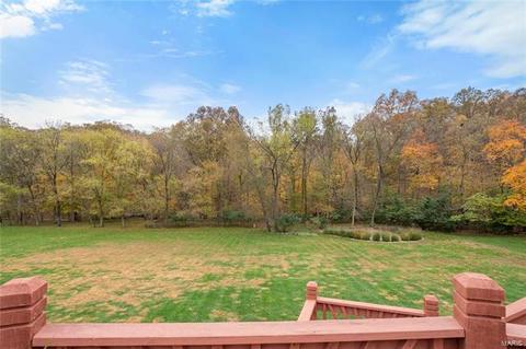 17356 Radcliffe Place Dr, Wildwood, MO 63025 photo 33