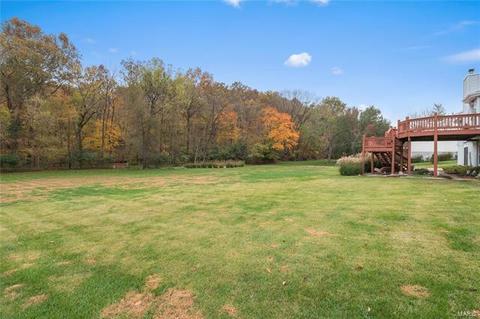 17356 Radcliffe Place Dr, Wildwood, MO 63025 photo 24