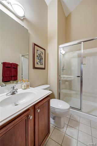 456 Chukker Vly, Ellisville, MO 63021 photo 43