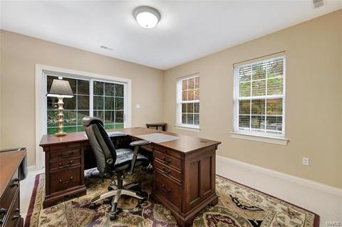 456 Chukker Vly, Ellisville, MO 63021 photo 53