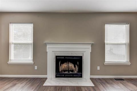 23 Royalltrail Ct, O'fallon, MO 63368 photo 10
