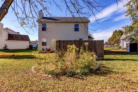 23 Royalltrail Ct, O'fallon, MO 63368 photo 27