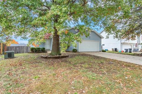 243 Rose Wind Dr, O'fallon, MO 63366 photo 3