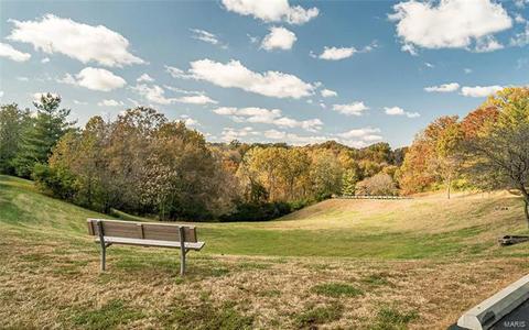 717 Ridgeside Dr #A, Ballwin, MO 63021 photo 21