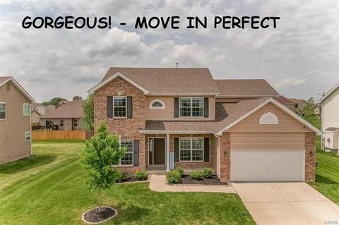 6817 Ridge Pointe Dr, O Fallon, IL 62269 photo 1