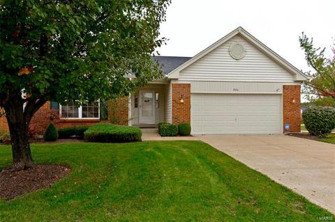 684 Hawk Run Dr, O'fallon, MO 63368 photo 25
