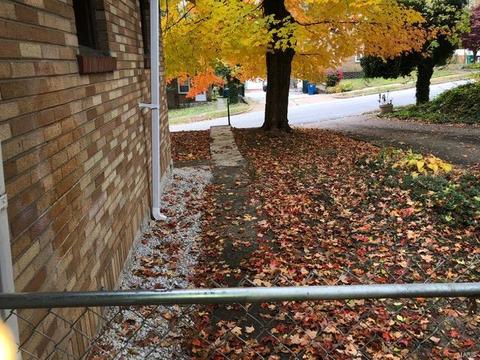 705 Wesley Ave, Saint Louis, MO 63135 photo 11