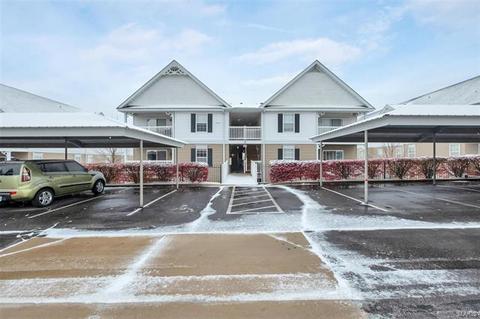 8202 Spring Creek Ln, O'fallon, MO 63368 photo 19