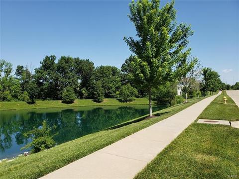8202 Spring Creek Ln, O'fallon, MO 63368 photo 18