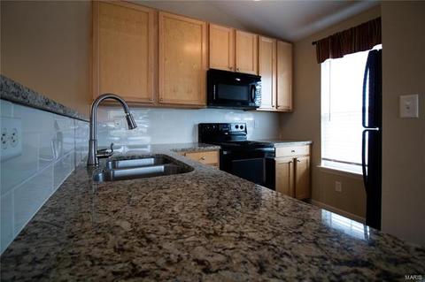 7303 Spring Creek Ln, O'fallon, MO 63368 photo 9