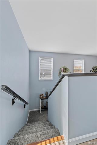 135 Brushy Brk, O'fallon, MO 63366 photo 19
