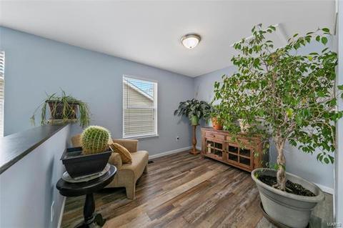 135 Brushy Brk, O'fallon, MO 63366 photo 21