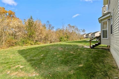 135 Brushy Brk, O'fallon, MO 63366 photo 31