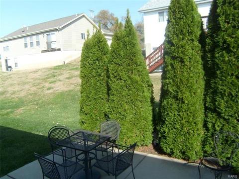 12159 Mckelvey Pl, Bridgeton, MO 63044 photo 16