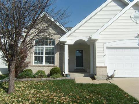 12159 Mckelvey Pl, Bridgeton, MO 63044 photo 3