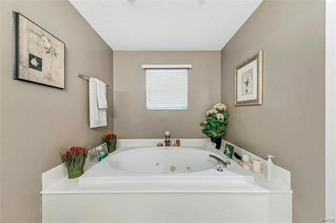 906 Bridle Path Ln, O'fallon, MO 63366 photo 12