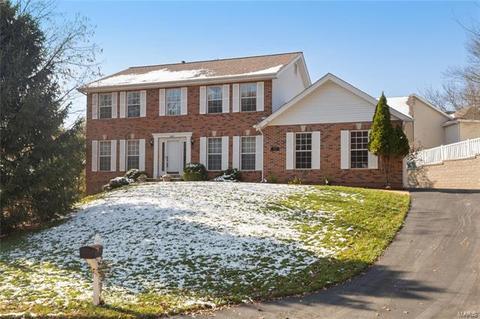 1643 Timber Hollow Dr, Wildwood, MO 63011 photo 2