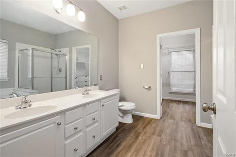 314 Copper Tree Ct, O'fallon, MO 63368 photo 18