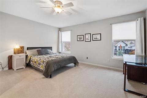 314 Copper Tree Ct, O'fallon, MO 63368 photo 36