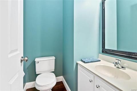 314 Copper Tree Ct, O'fallon, MO 63368 photo 21