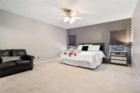 314 Copper Tree Ct, O'fallon, MO 63368 photo 15