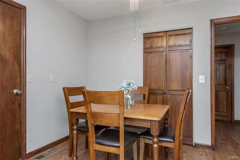 1041 Ridgeway Meadow Dr, Ellisville, MO 63021 photo 14
